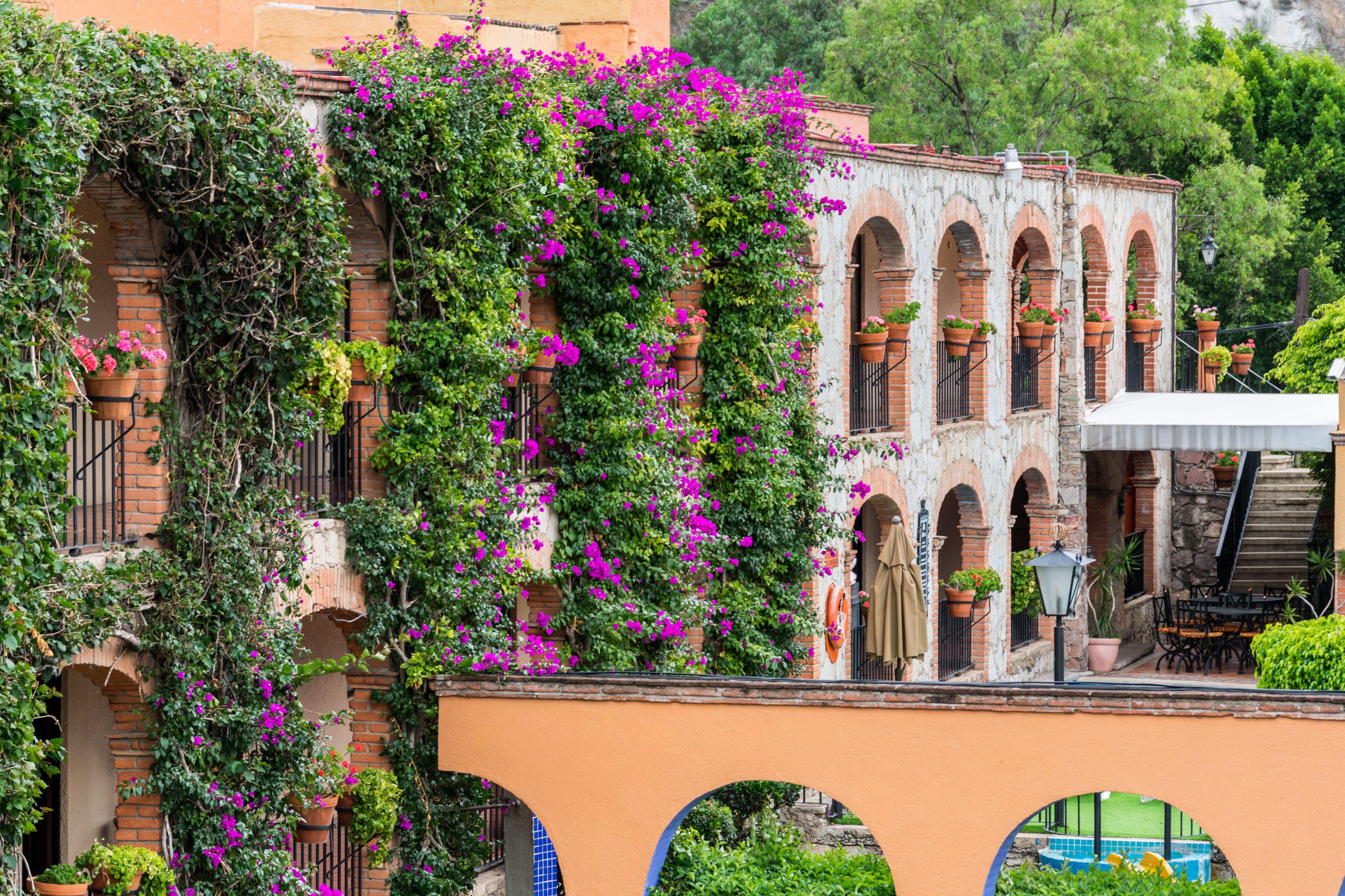 Hotel Abadia Plaza Guanajuato Exterior foto