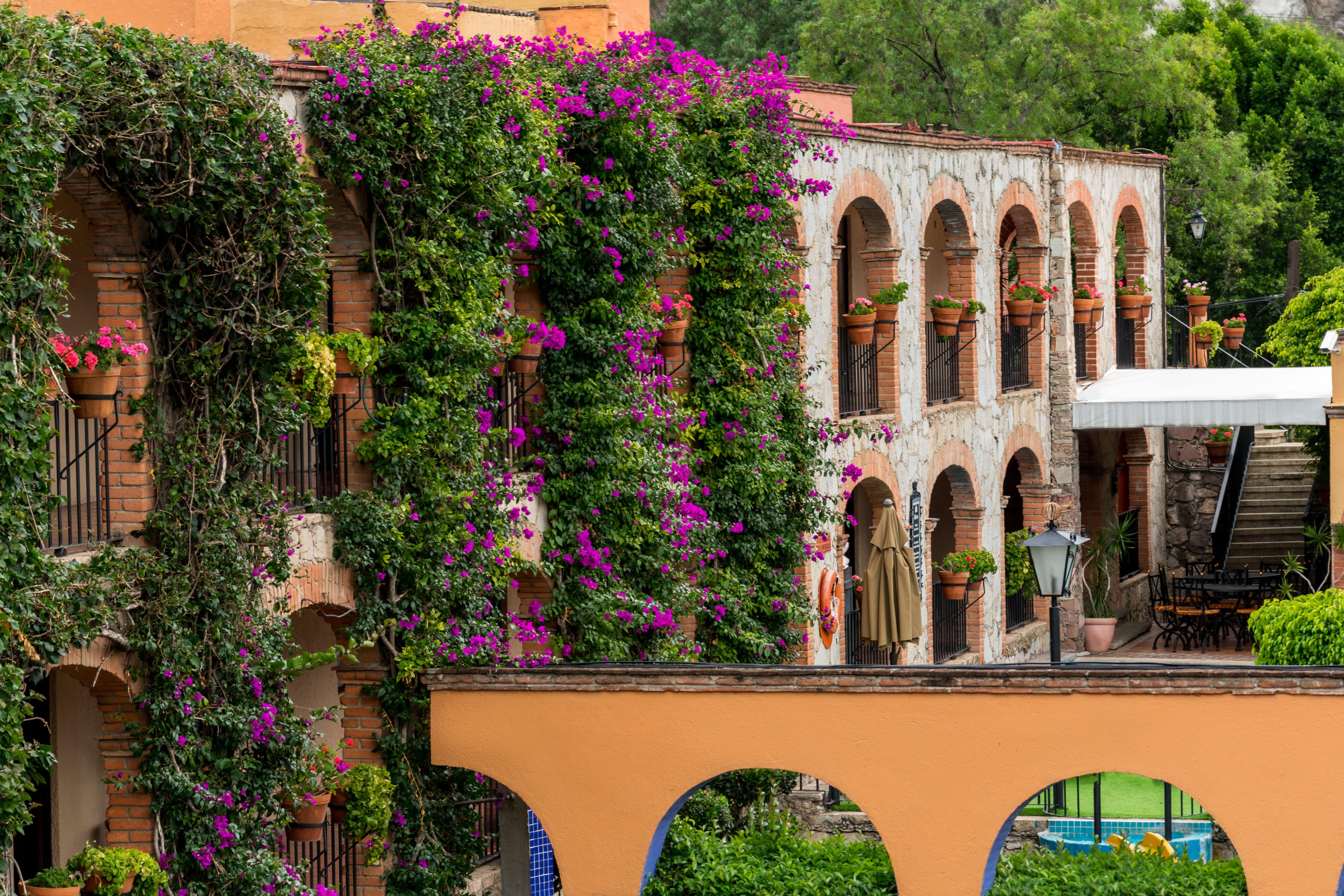 Hotel Abadia Plaza Guanajuato Exterior foto